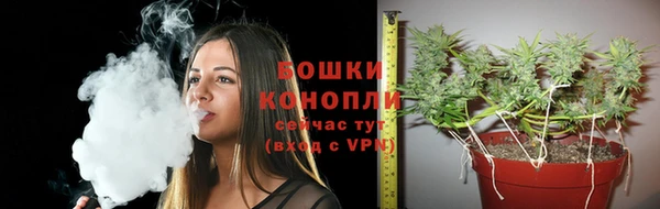 амф Горнозаводск